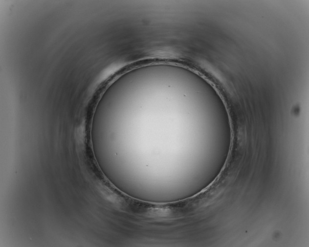 X0000101101315200807031741