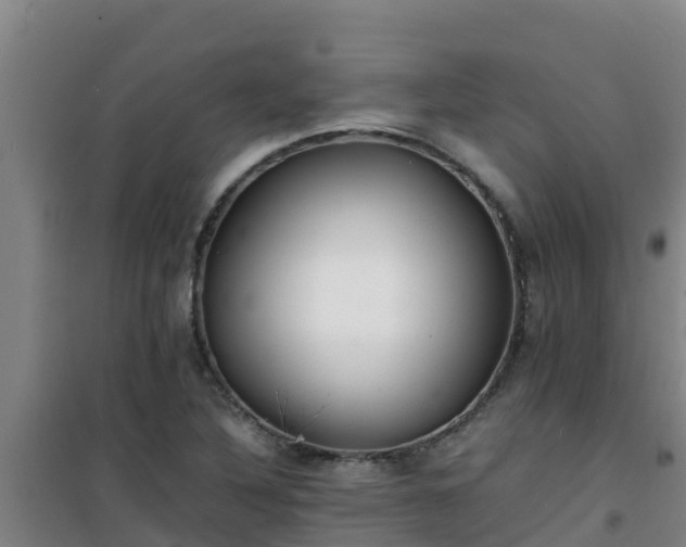 X0000101101316200807031741