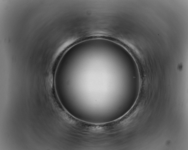 X0000101101317200807031741
