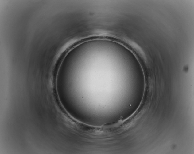 X0000101101318200807031741