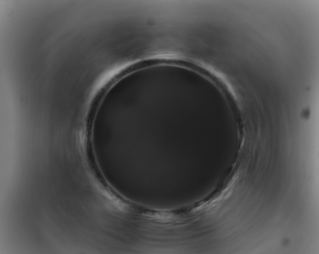 X0000101101319200807031741