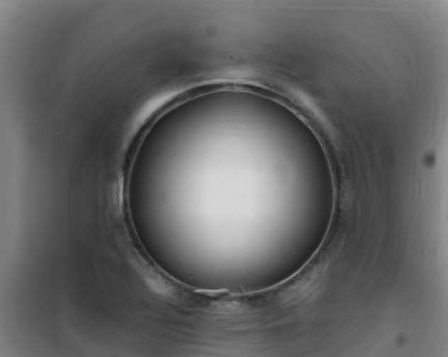 X0000101101320200807031741