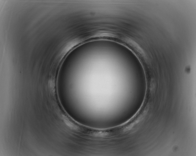 X0000101101321200807031741