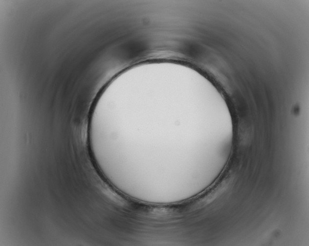 X0000101101322200807031741
