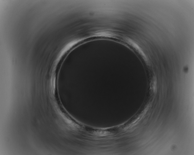 X0000101101323200807031741