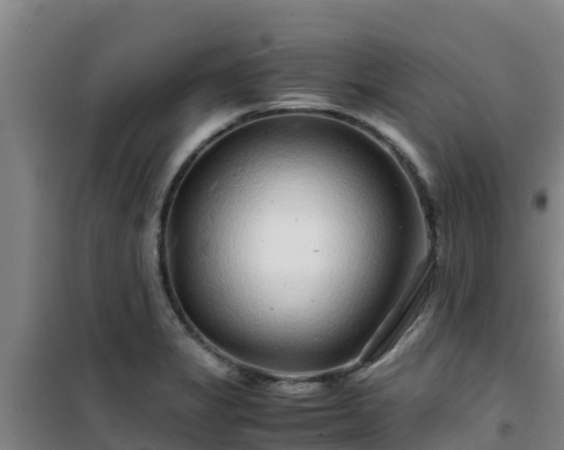 X0000101101325200807031741