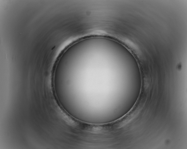 X0000101101326200807031741