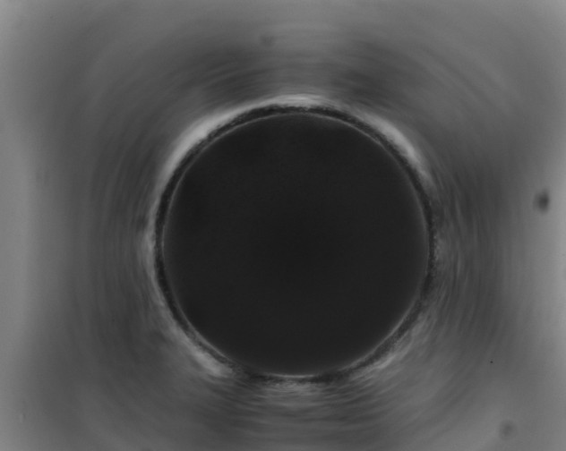 X0000101101327200807031741