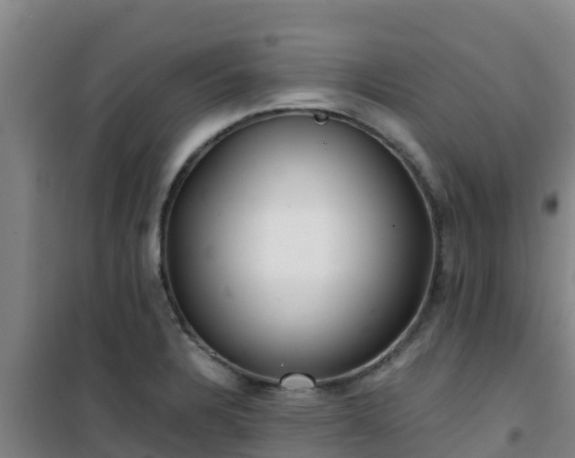 X0000101101328200807031741