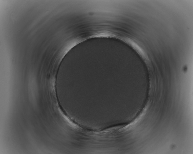 X0000101101329200807031741