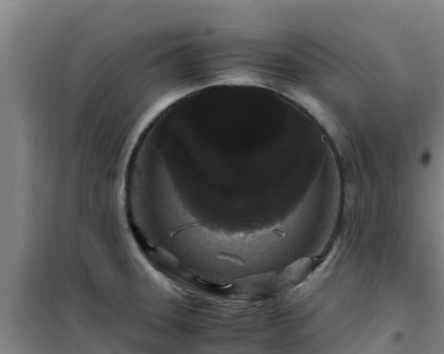 X0000101101331200807031741