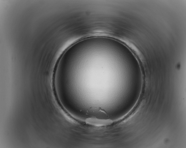 X0000101101333200807031741