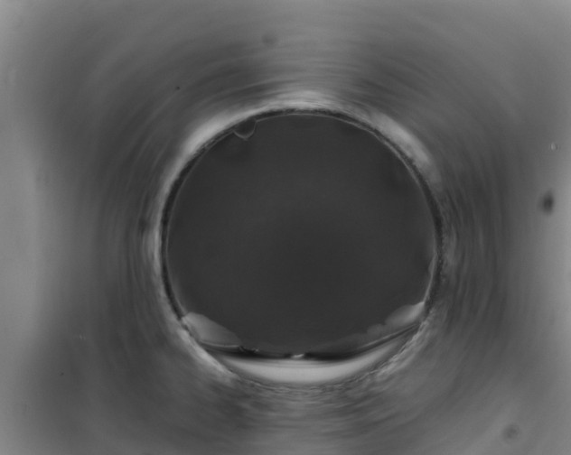 X0000101101334200807031741