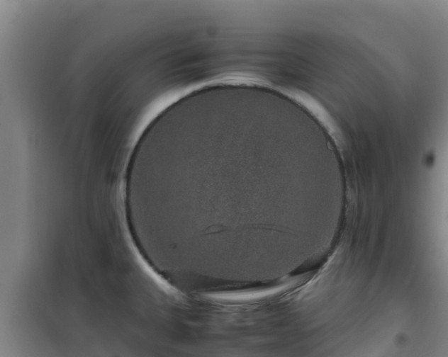 X0000101101335200807031741