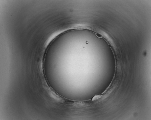 X0000101101336200807031741