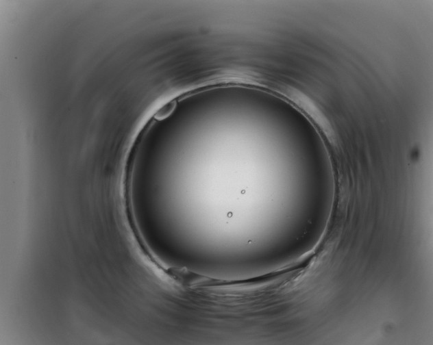 X0000101101339200807031741