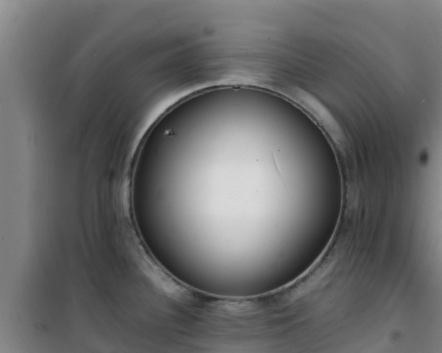 X0000101101340200807031741