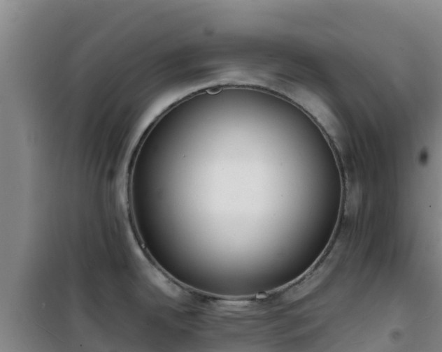 X0000101101342200807031741