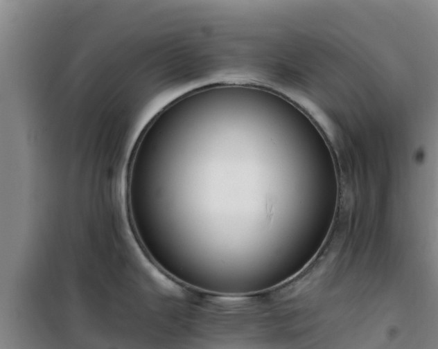 X0000101101343200807031741