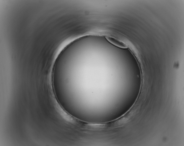 X0000101101344200807031741