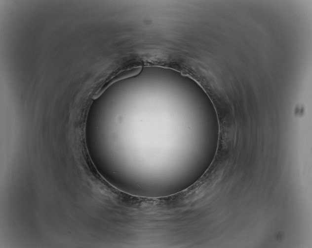 X0000101101345200807031740