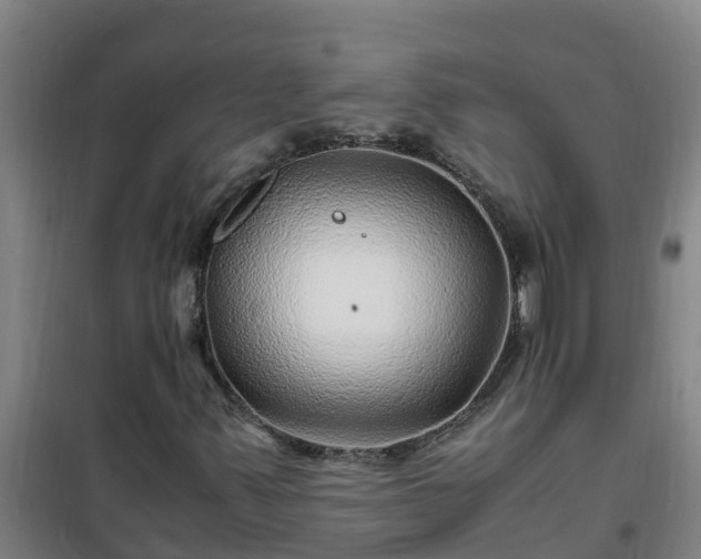 X0000101101347200807031740