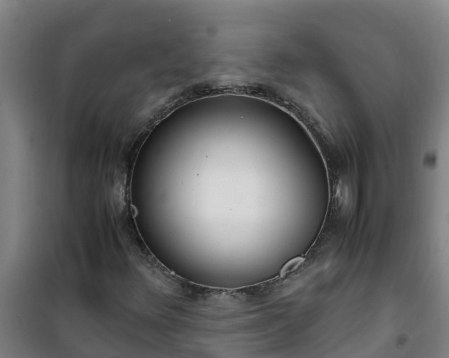X0000101101348200807031740