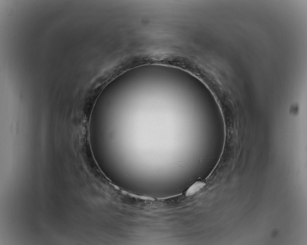 X0000101101349200807031740