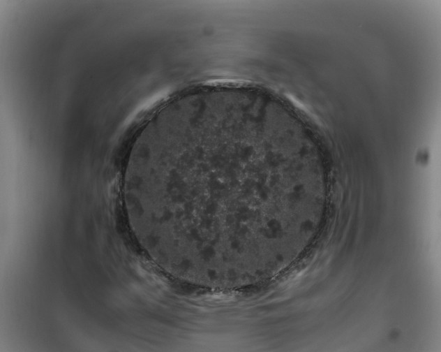 X0000101101351200807031740