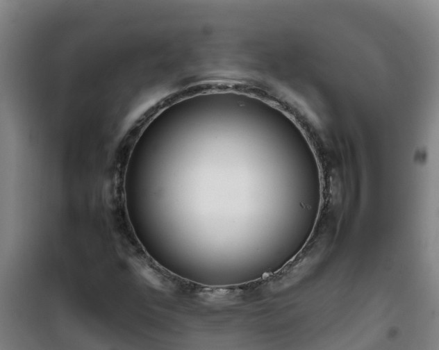 X0000101101352200807031740