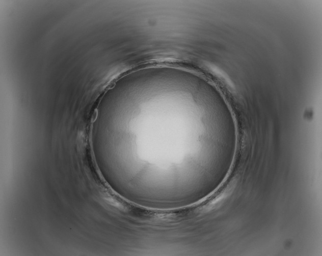 X0000101101353200807031740