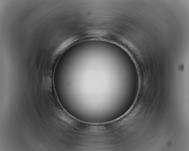 X0000101101354200807031740