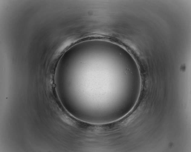 X0000101101355200807031740