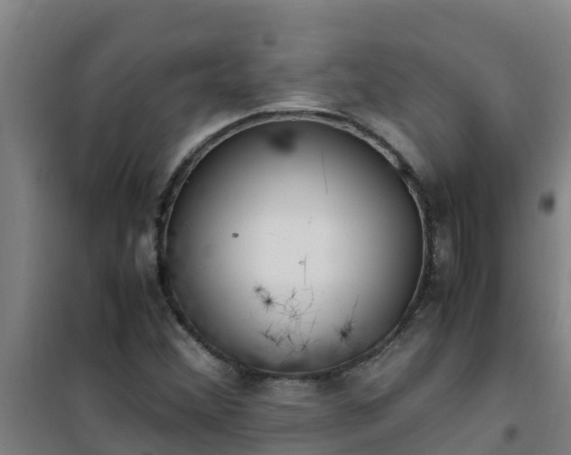 X0000101101356200807031740