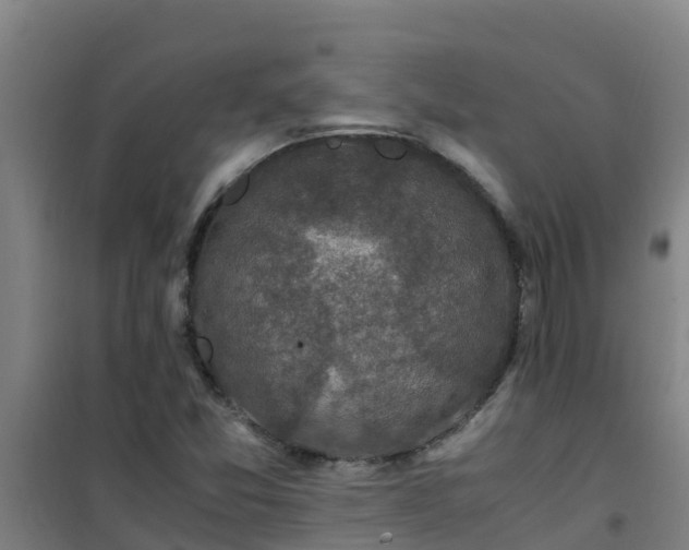 X0000101101357200807031740