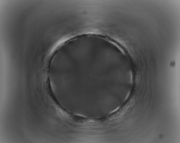 X0000101101359200807031740