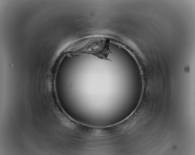 X0000101101360200807031740