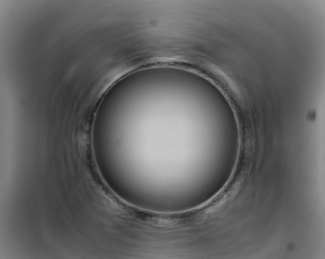 X0000101101361200807031740