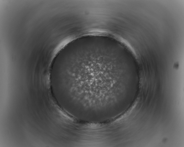 X0000101101362200807031740