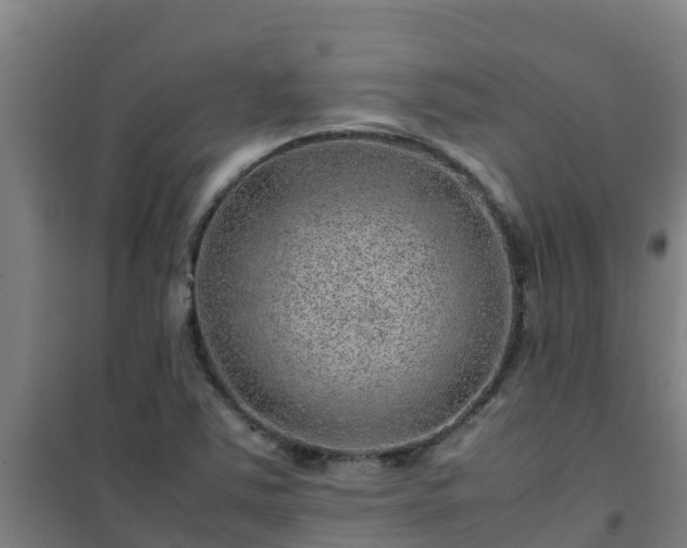 X0000101101363200807031740
