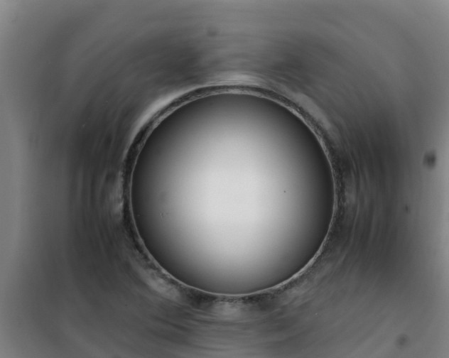 X0000101101364200807031740