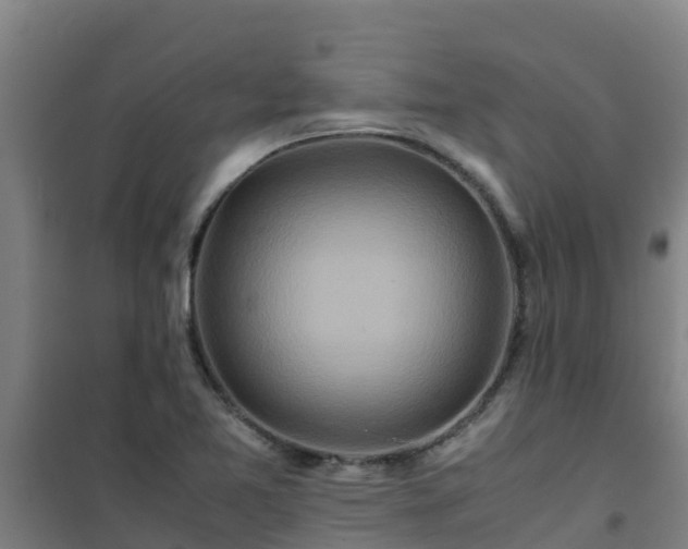 X0000101101365200807031740