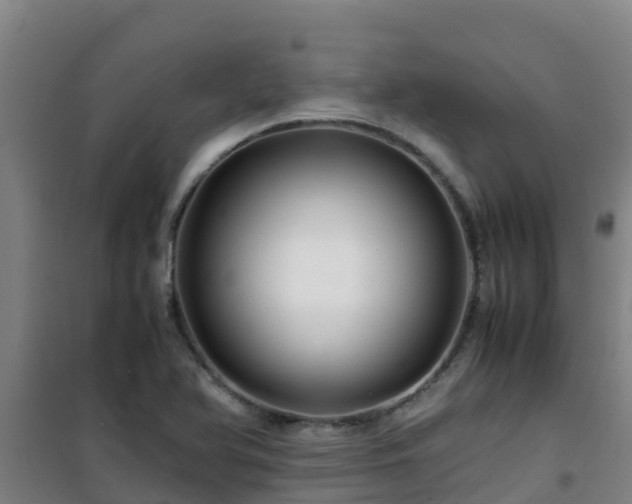 X0000101101366200807031740