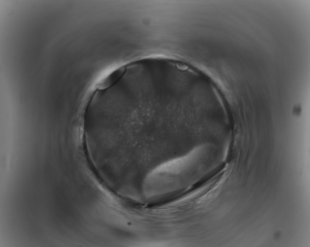 X0000101101367200807031740