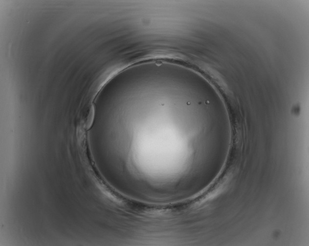 X0000101101369200807031740