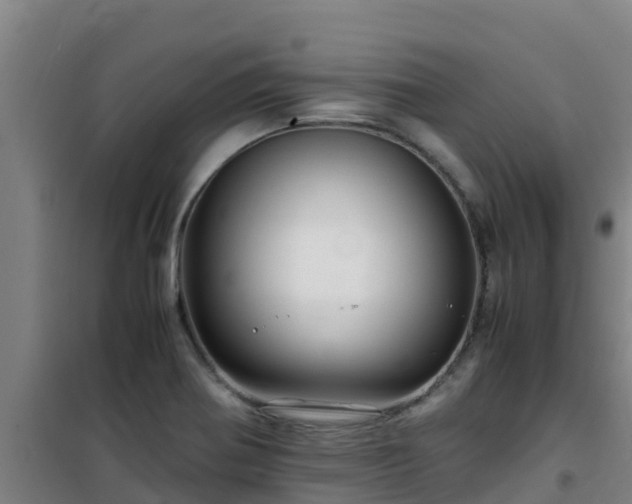 X0000101101370200807031740