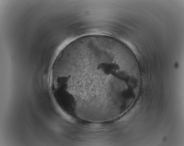 X0000101101371200807031740