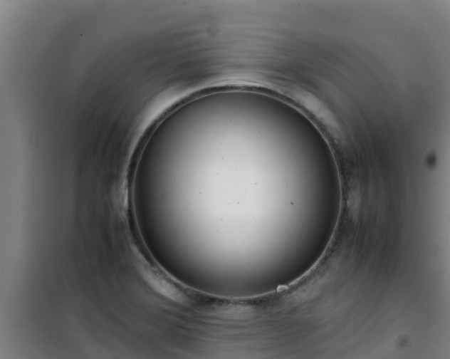 X0000101101372200807031740