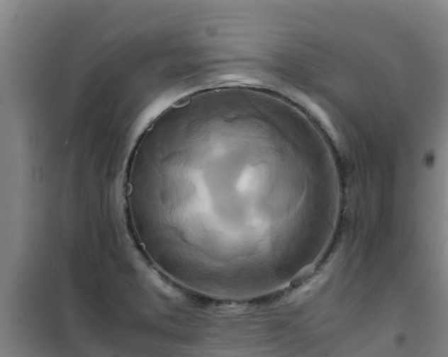 X0000101101373200807031740