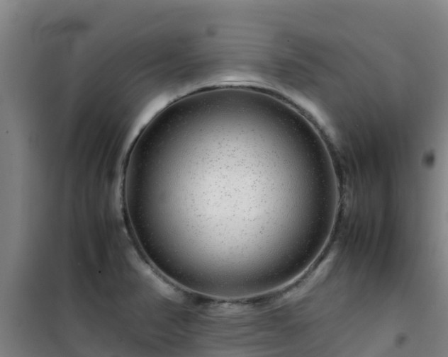 X0000101101374200807031740